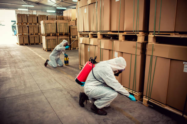 Best Ant Control Services  in Continental, OH