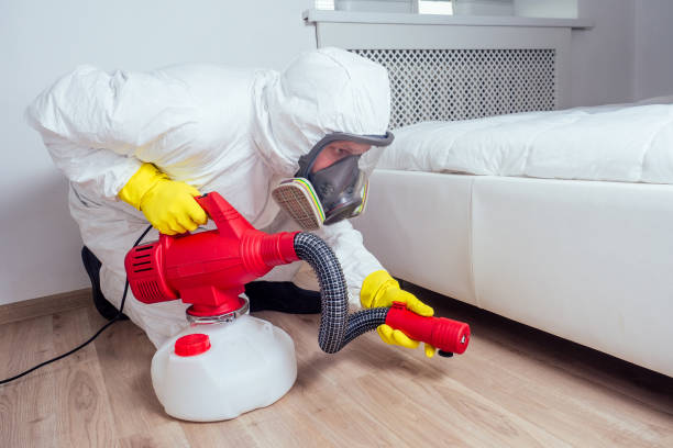 Best Insect Control  in Continental, OH
