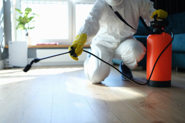 Best Flea Control Services  in Continental, OH