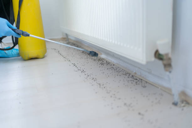 Pest Prevention Services in Continental, OH