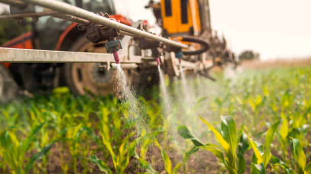 Best Commercial Pest Control Services  in Continental, OH