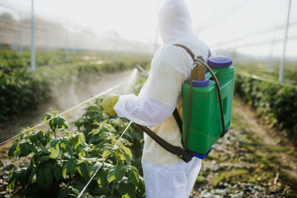 Best Wildlife Control Services  in Continental, OH